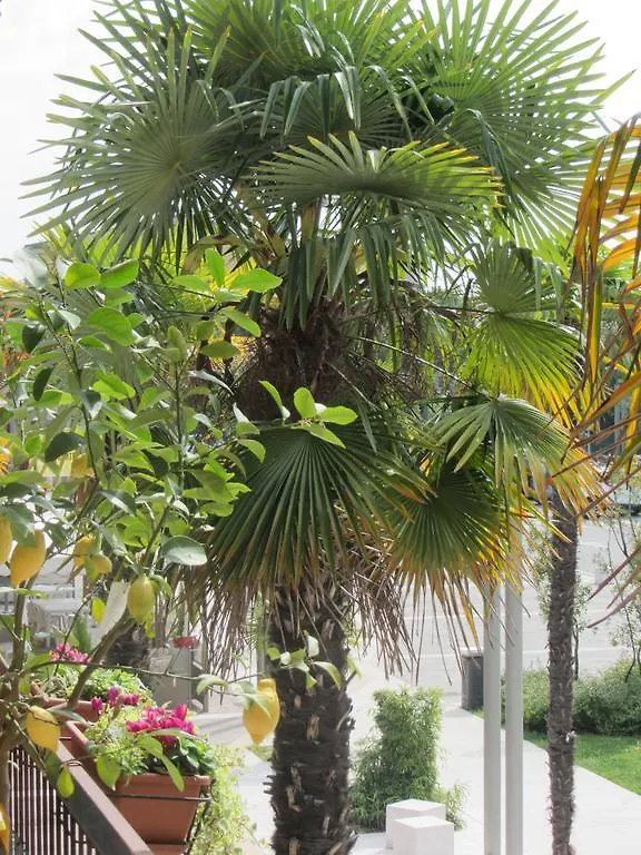 Appartamento Le Palme Sirmione Apartment